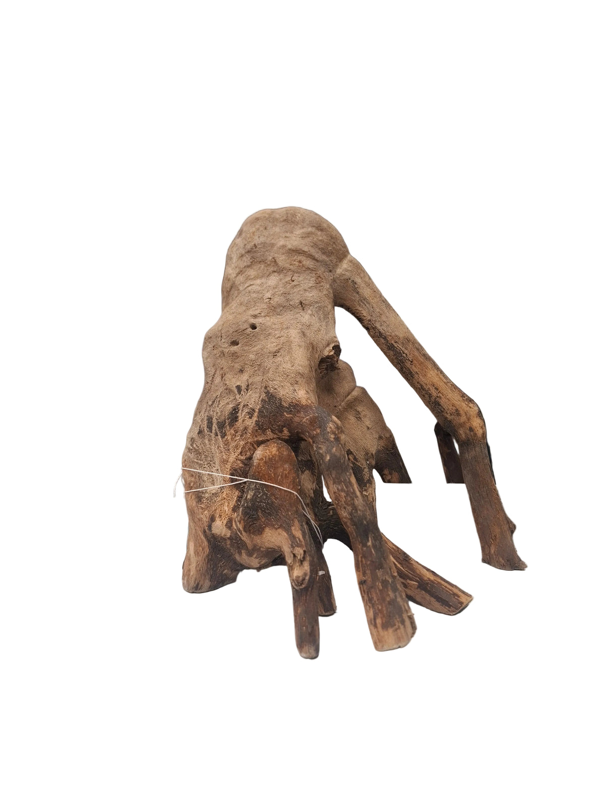 Pura stump wood
