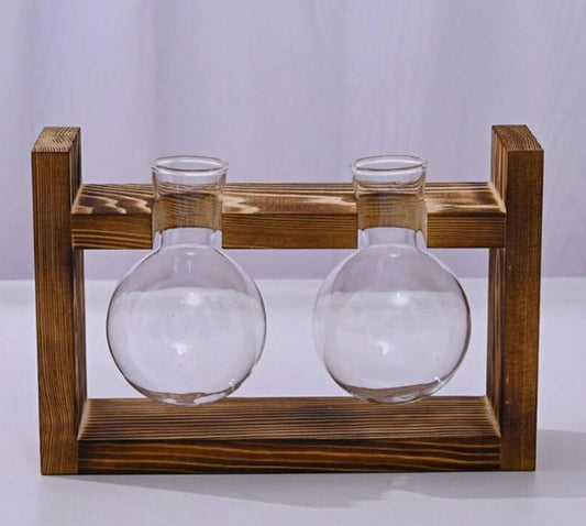 Vasetti Idroponica con Supporto