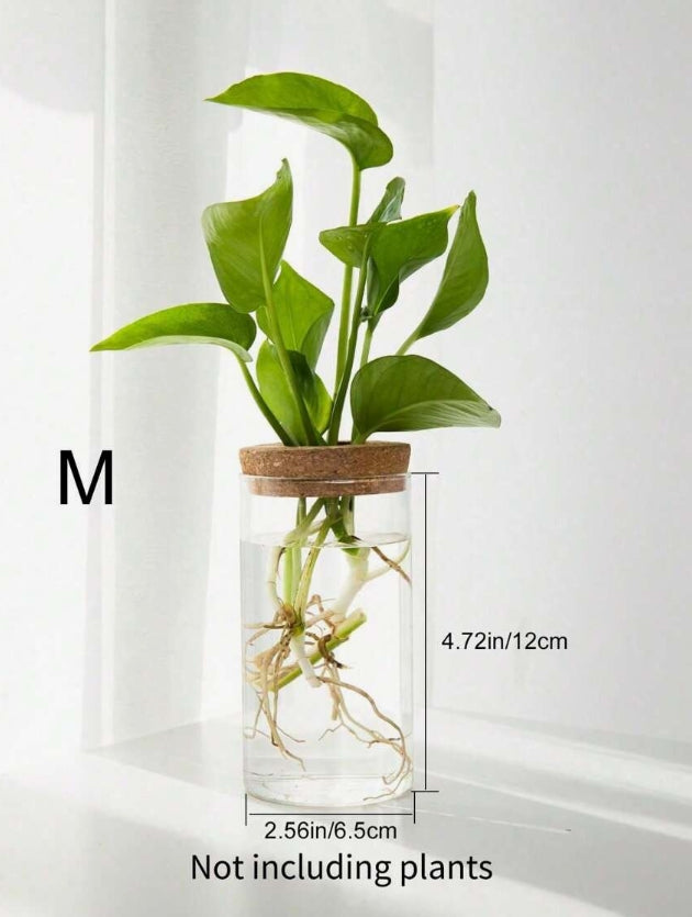 Contenitore con Tappo Forato per Idroponica