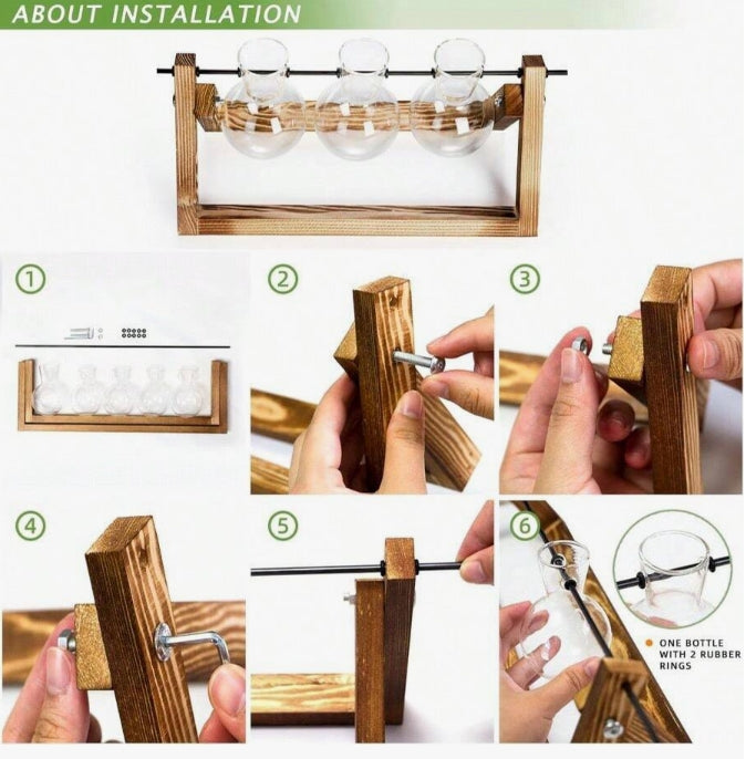 Set porta ampolle per idrocoltura con supporto in legno - piante acquario ToPlant