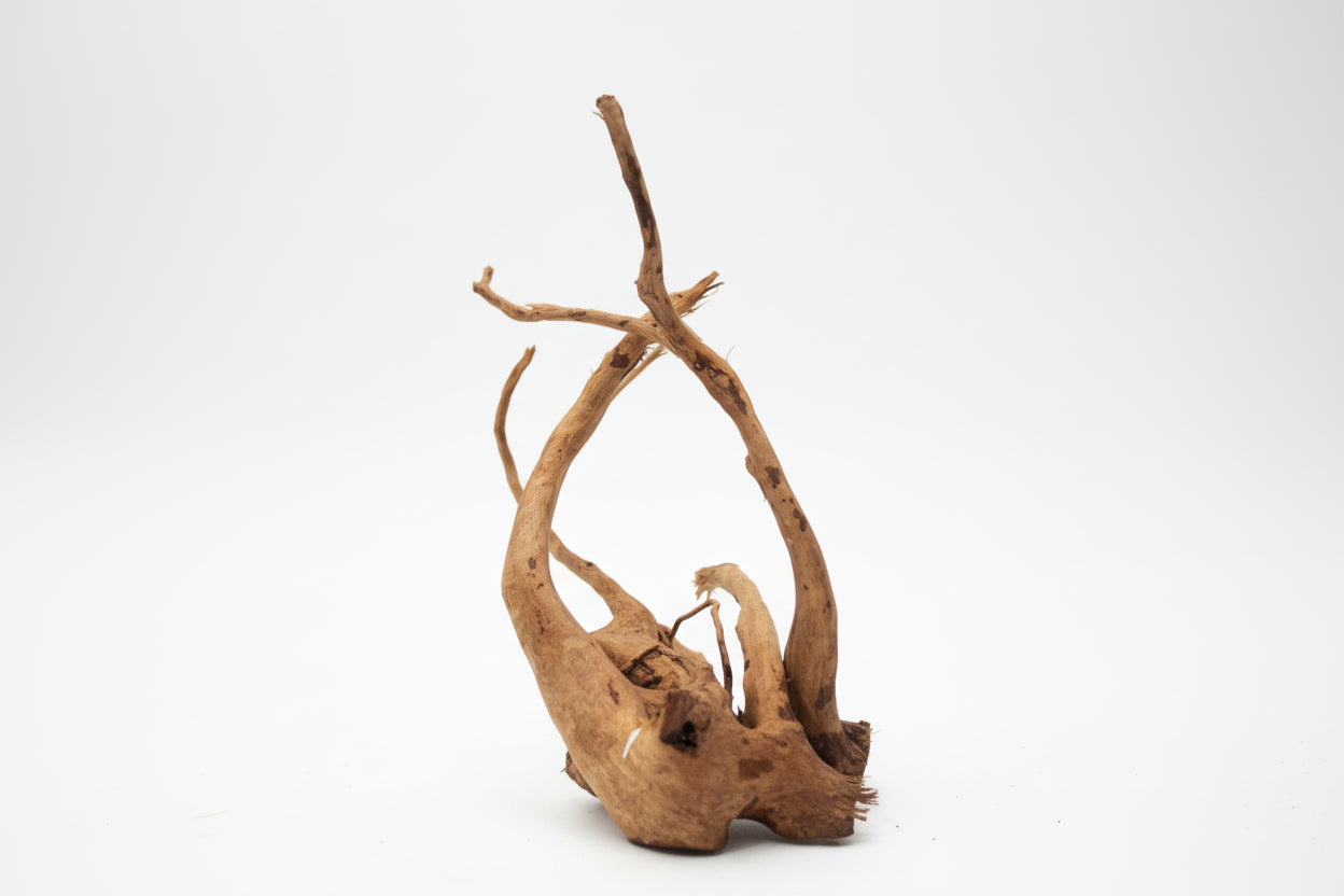 Driftwood 26cm