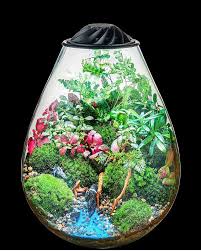 Chihiros Eco ping terrario