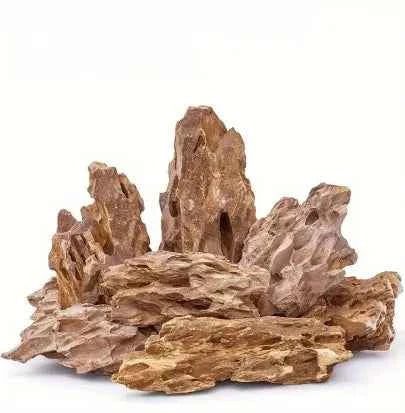 Dragon Stone