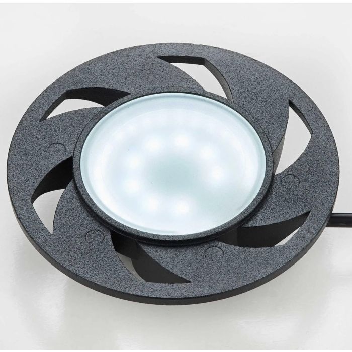 Chihiros Eco ping terrario