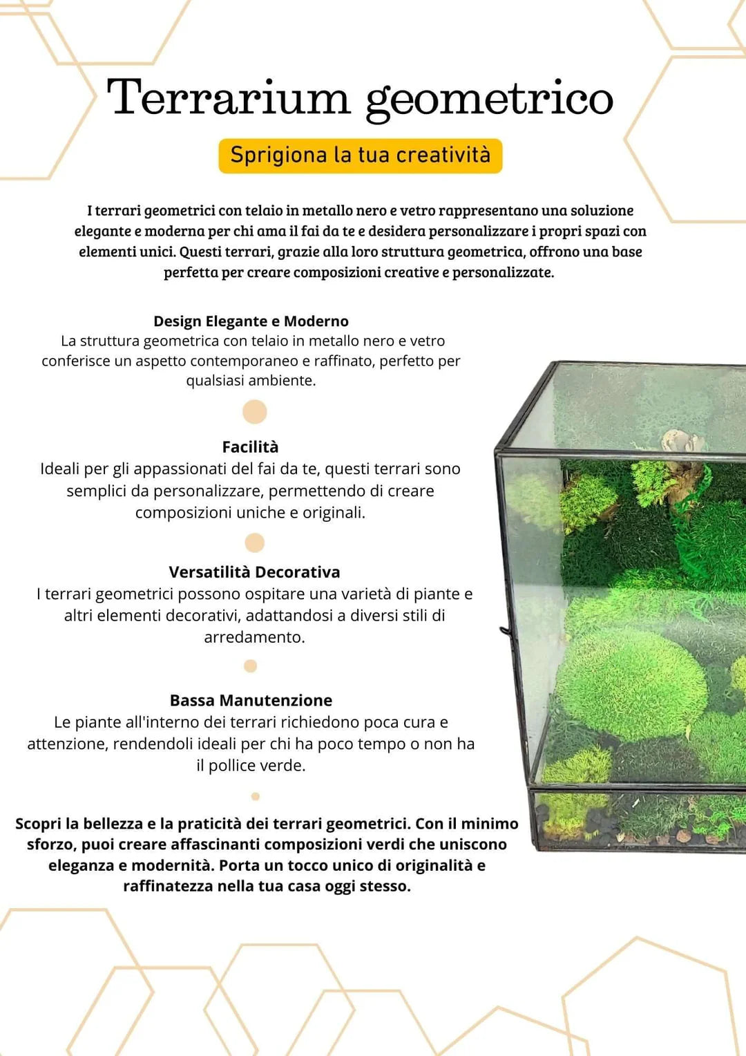 Terrarium geometrico Paradiso Naturale