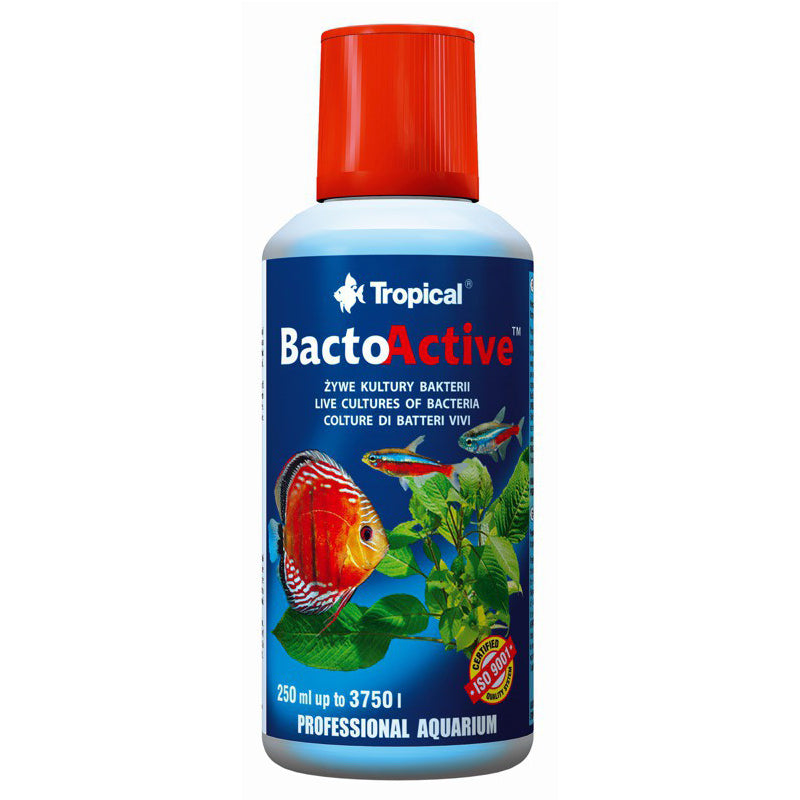 Tropical- BactoActive 250ml batteri nitrificanti