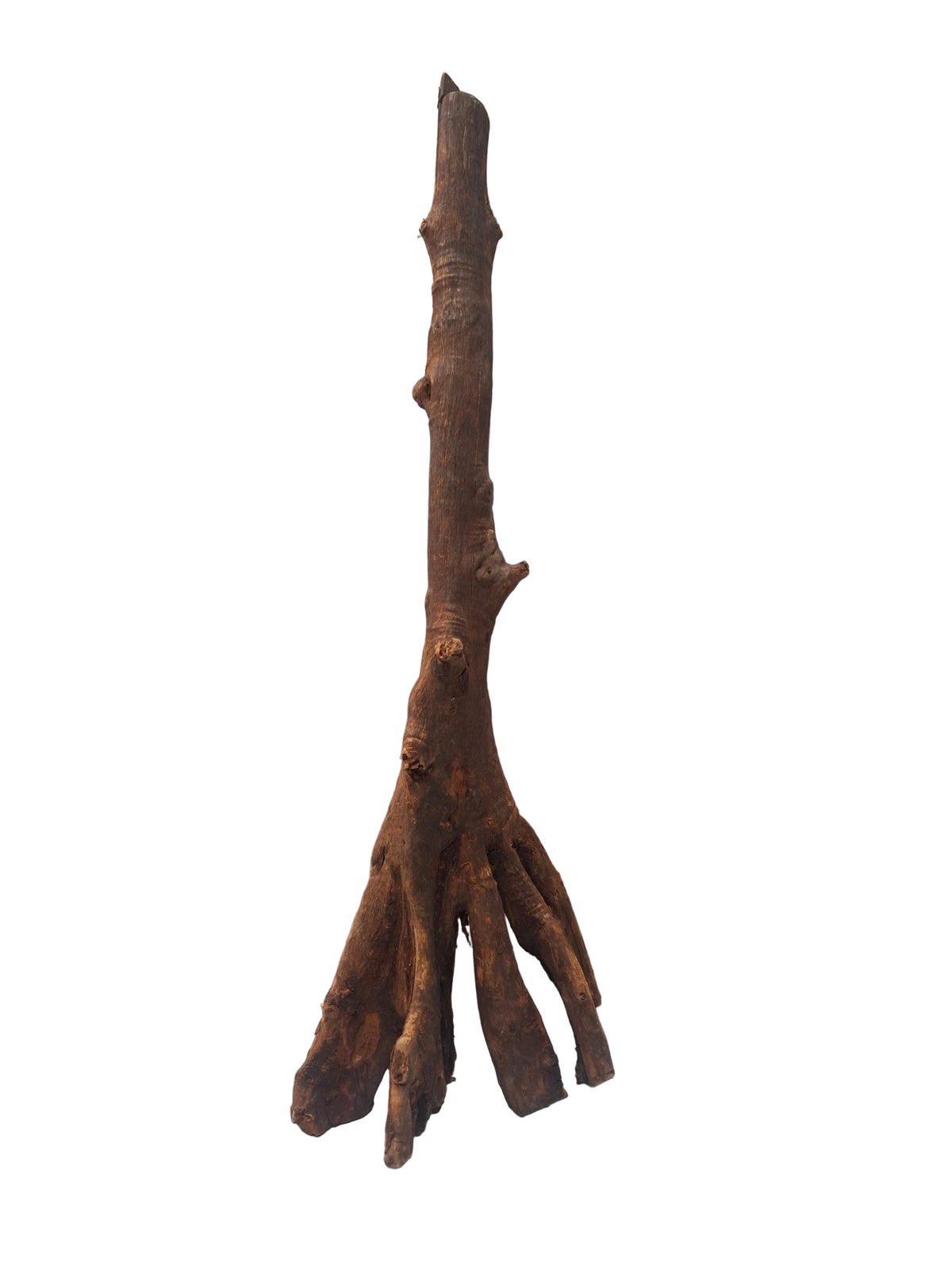 Aros stump