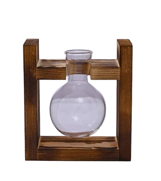 Vasetti Idroponica con Supporto