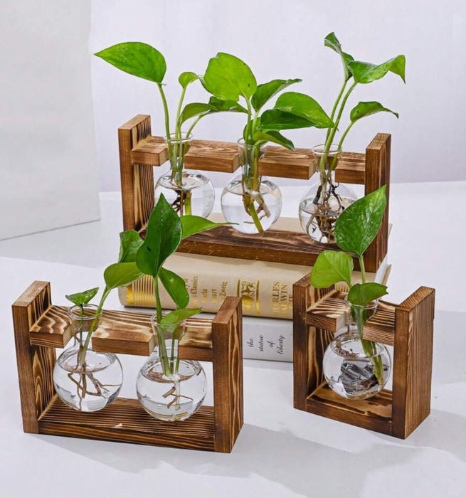 Vasetti Idroponica con Supporto - piante acquario ToPlant