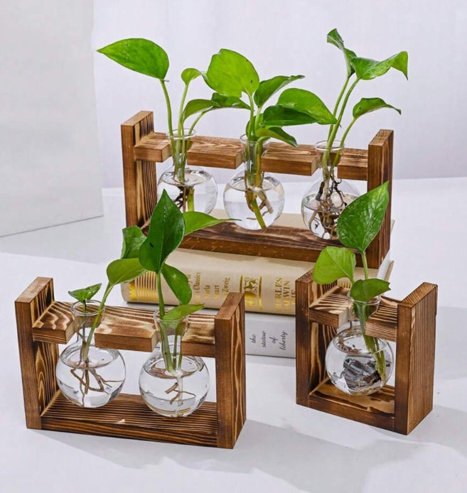 Vasetti Idroponica con Supporto - piante acquario ToPlant