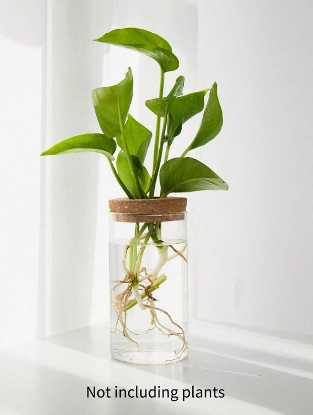 Contenitore con Tappo Forato per Idroponica