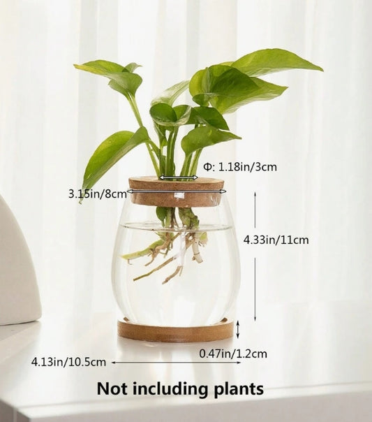 Vaso idroponico in vetro con coperchio e vassoio in bambù