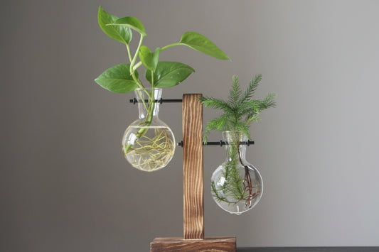 Porta ampolle idrocoltura con supporto in legno vintage