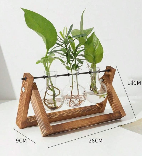 Set porta ampolle per idrocoltura con supporto in legno - piante acquario ToPlant