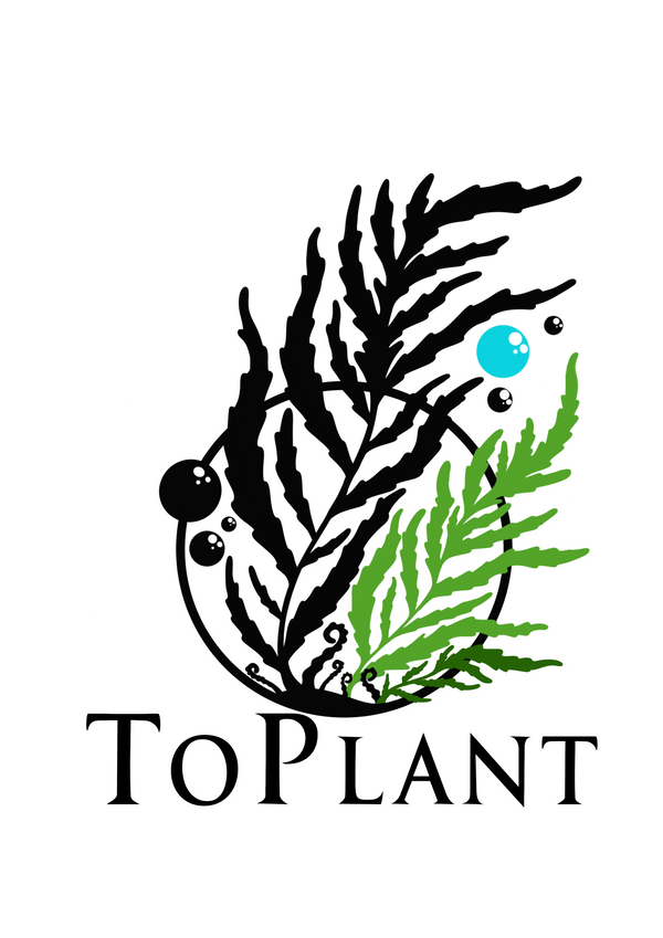 ToPlant