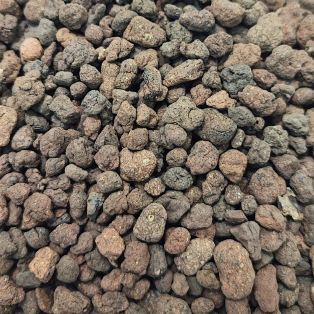 Argilla espansa per terrario