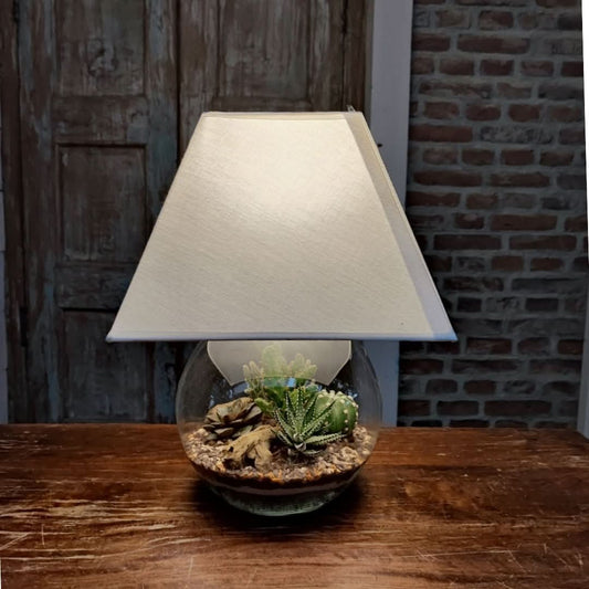 Lampadarium con piante grasse