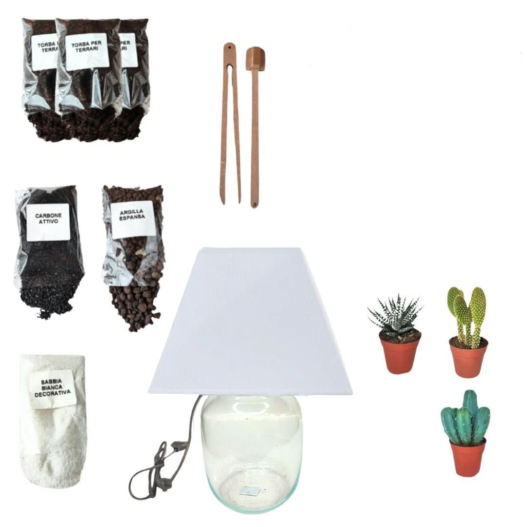 Lampadarium con piante grasse