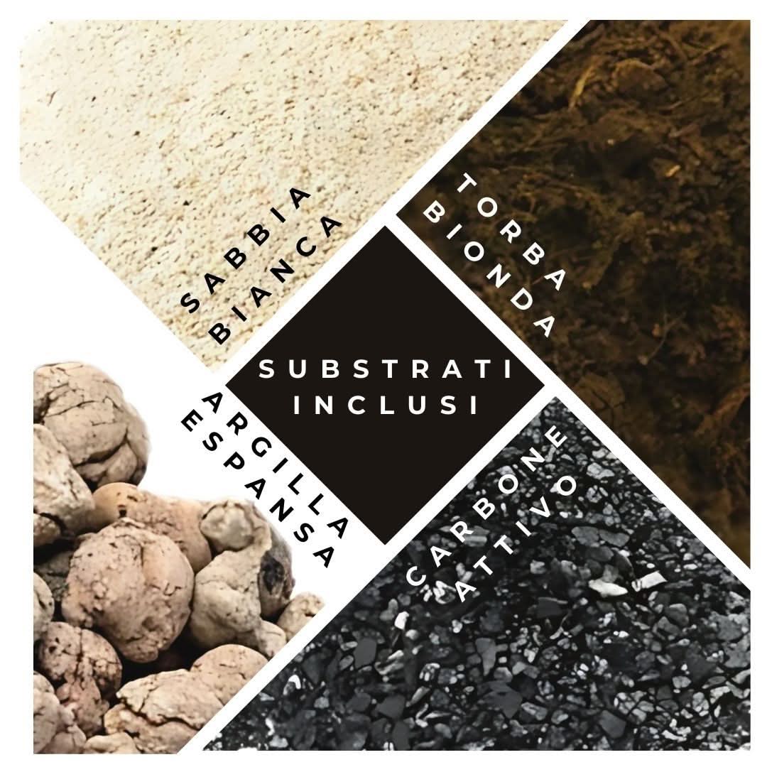 Lampadarium con piante grasse