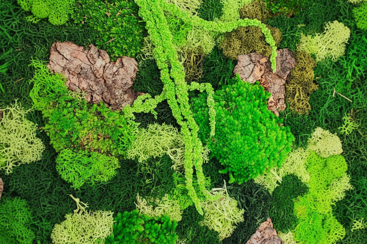 Quadro tondo diametro 30 cm kit fai da te