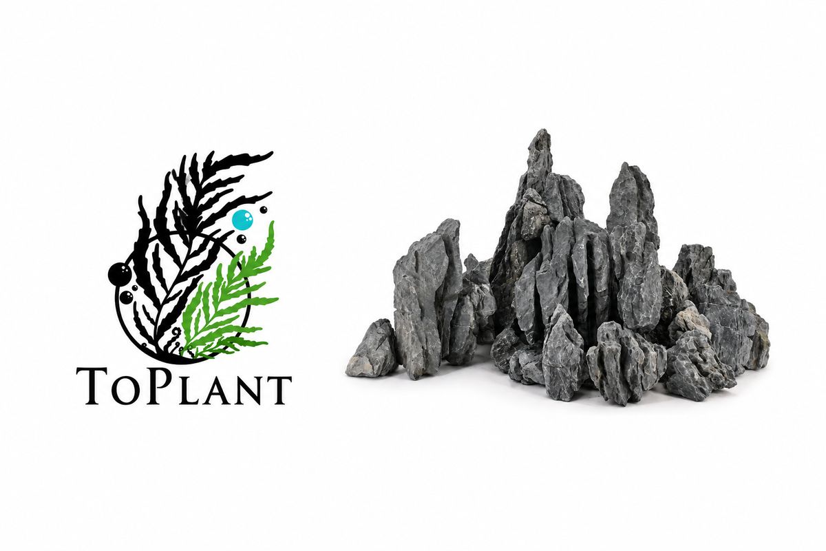 Proposta banner ToPlant con logo e rocce