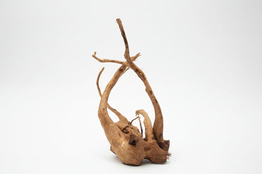 Driftwood 26cm