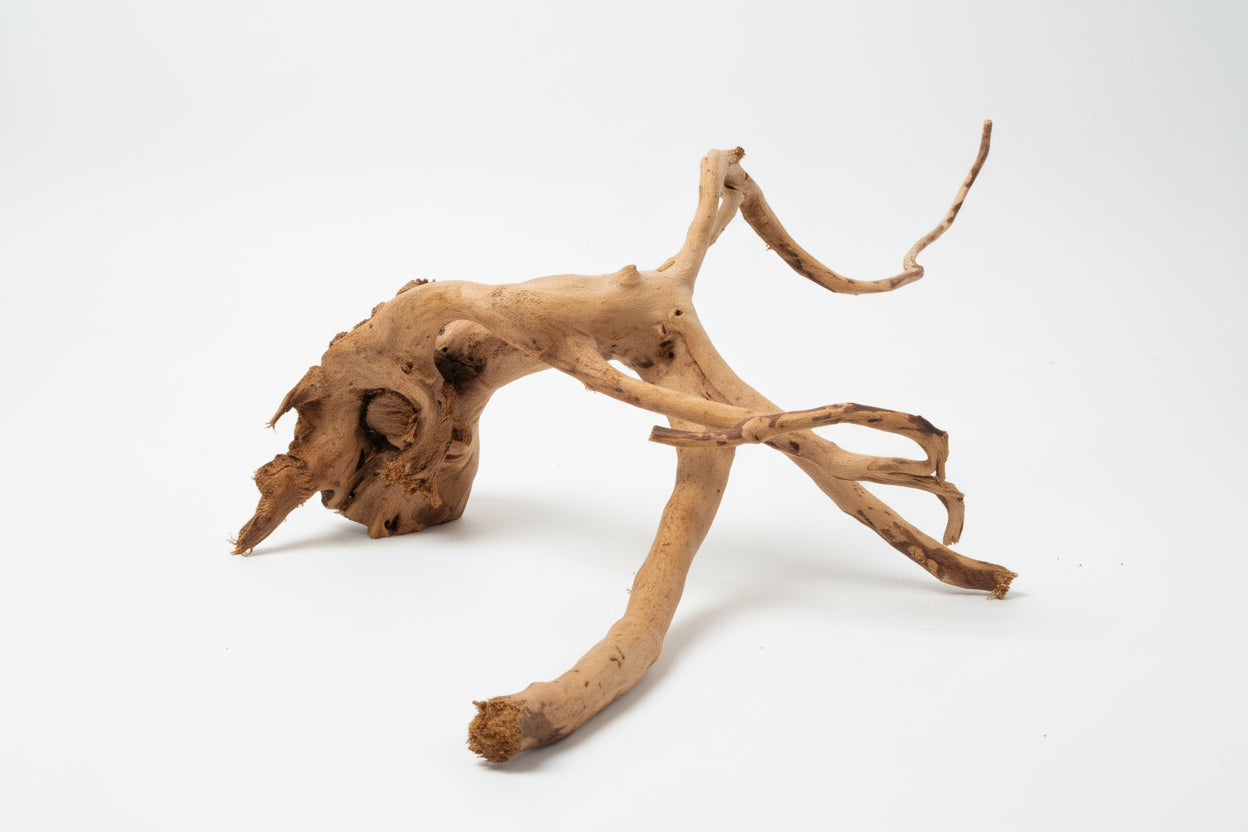 Driftwood 53cm