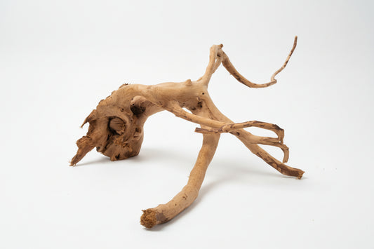 Driftwood 53cm