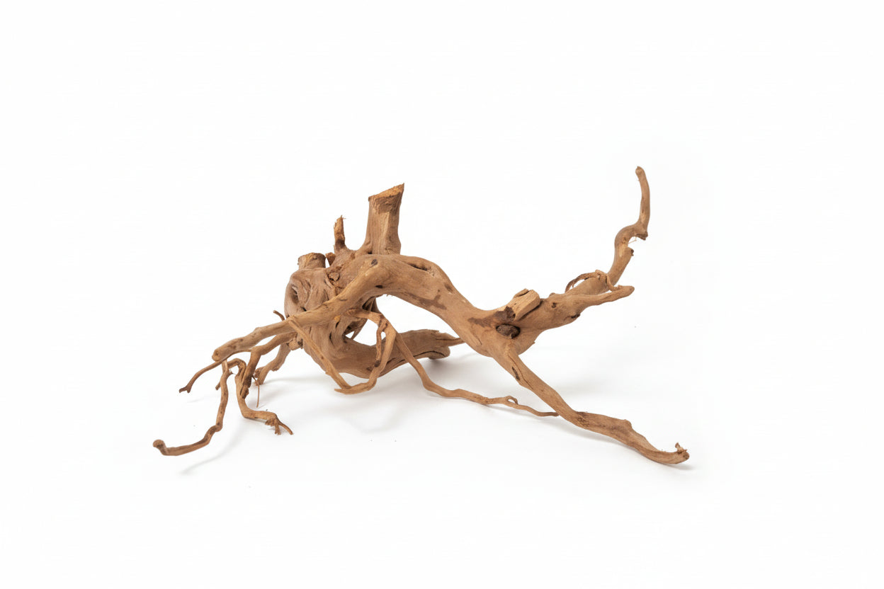 Driftwood 43cm