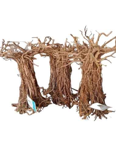 Stump Hardscape