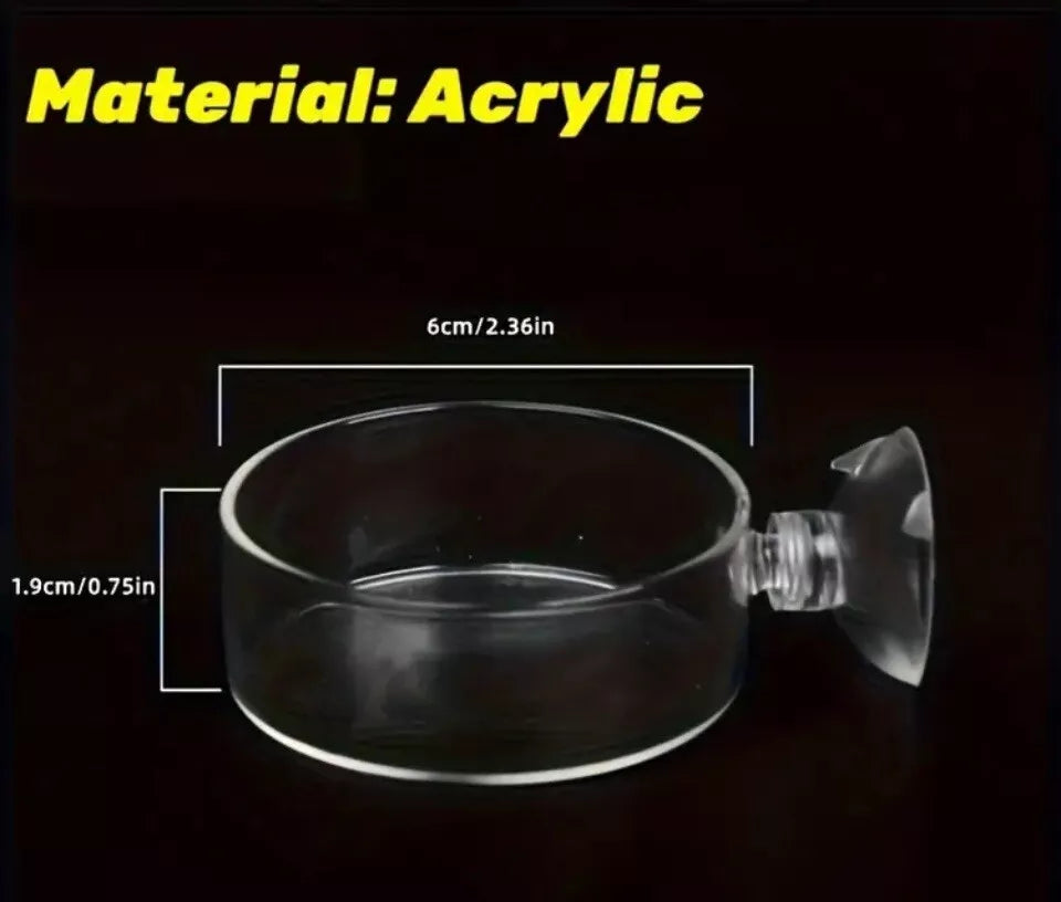 mangiatoia con ventosa per caridine