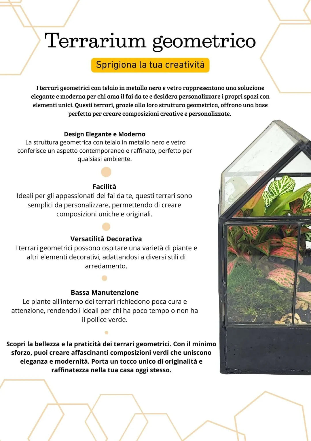 Terrarium geometrico Micro Oasi