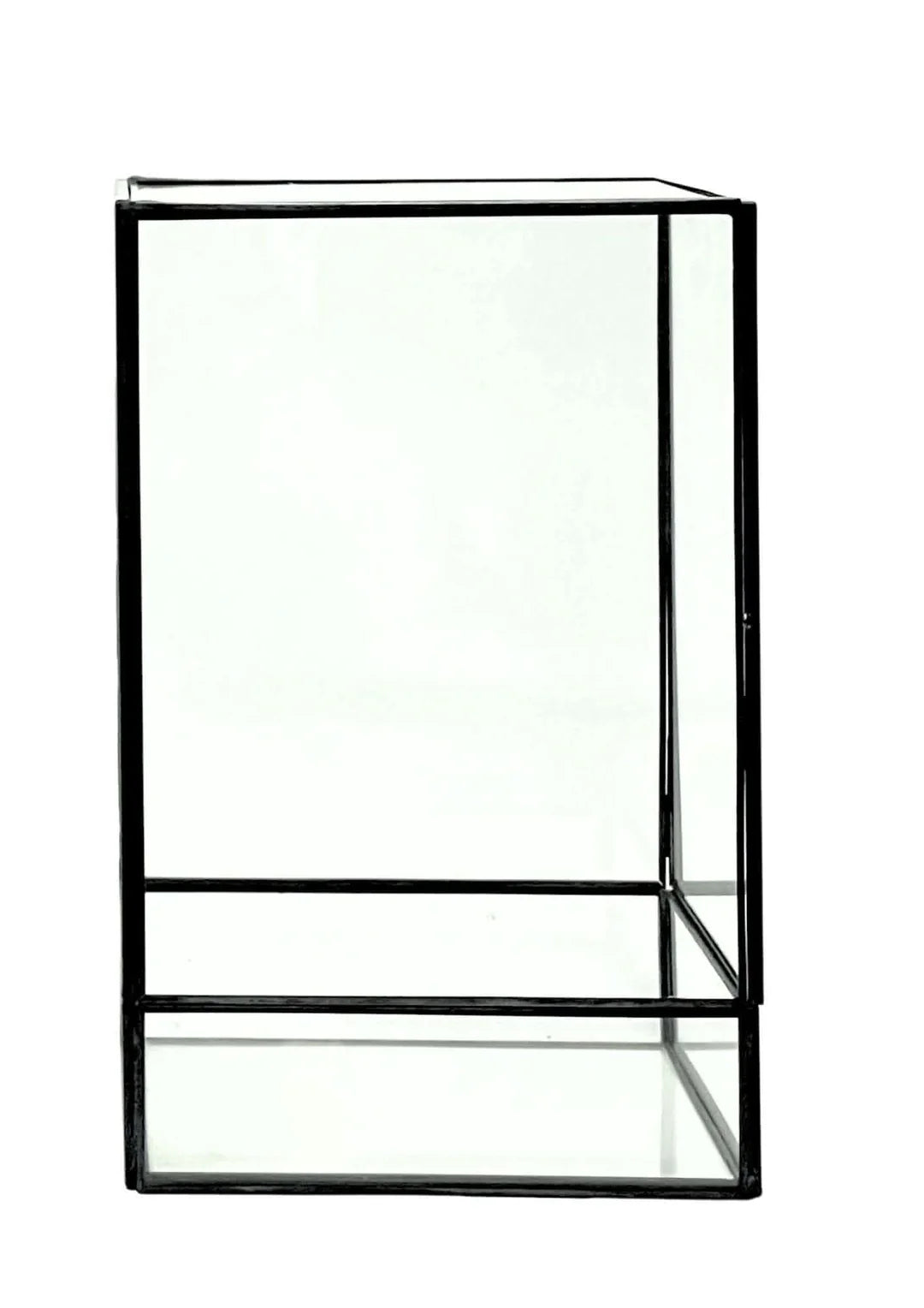 Terrarium geometrico Paradiso Naturale