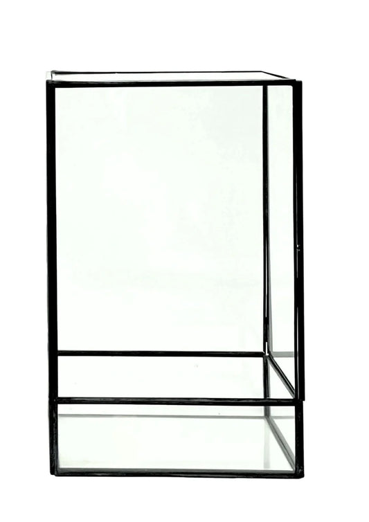 Terrarium geometrico Paradiso Naturale