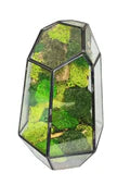 Terrarium geometrico Universo di Vetro
