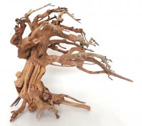 Bonsai Wave Wood Medium